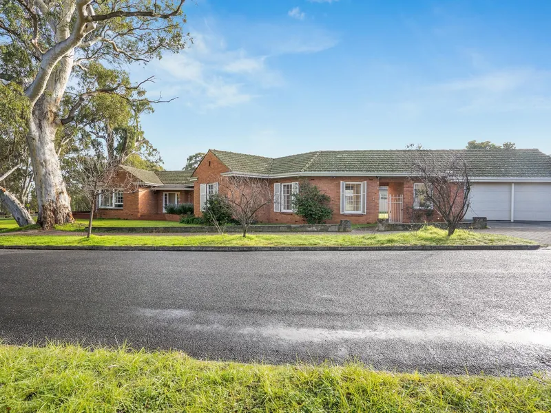 View Across the Park