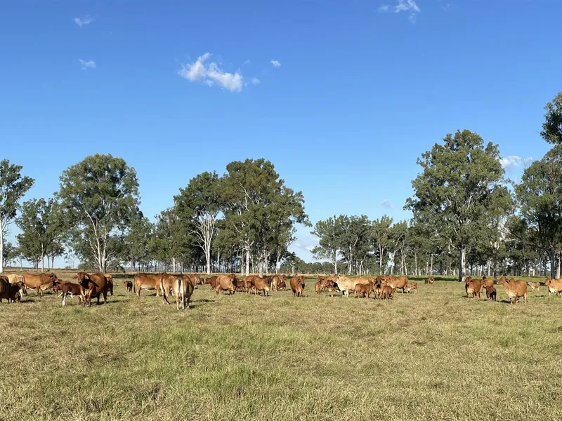 End of a Golden Era - 