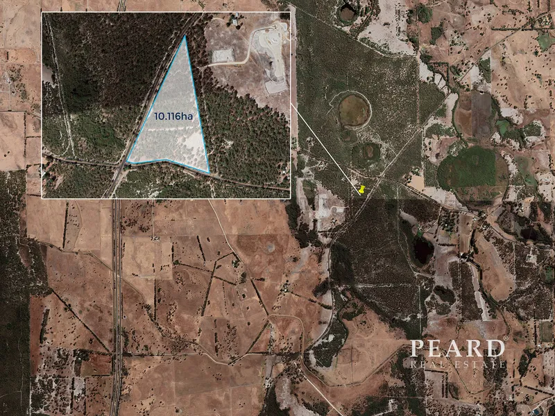 Priced To Sell 25 Acres