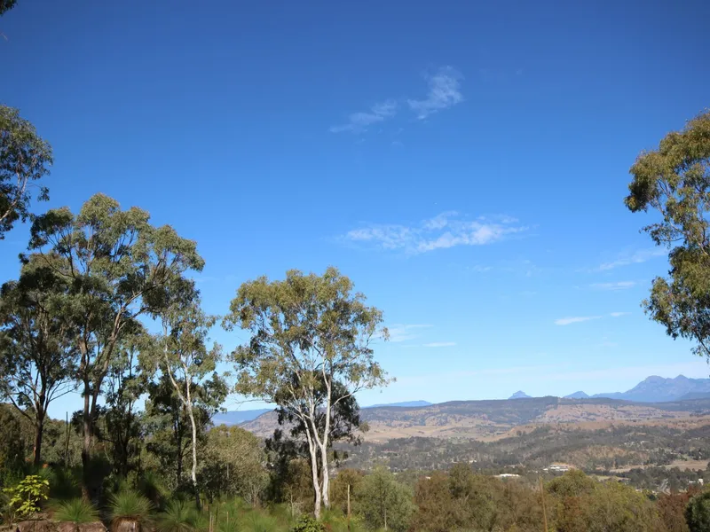 VIEWS! VIEWS! VIEWS!! ID#216