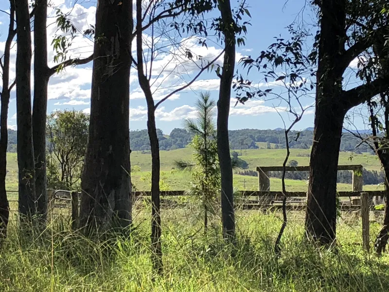 Home on large parcel of land