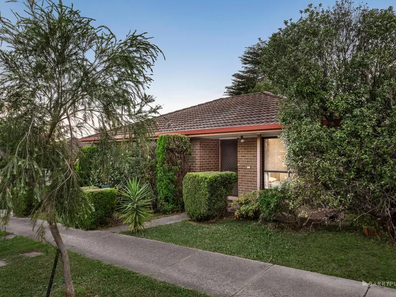 Spacious Single Level with Super Street Frontage