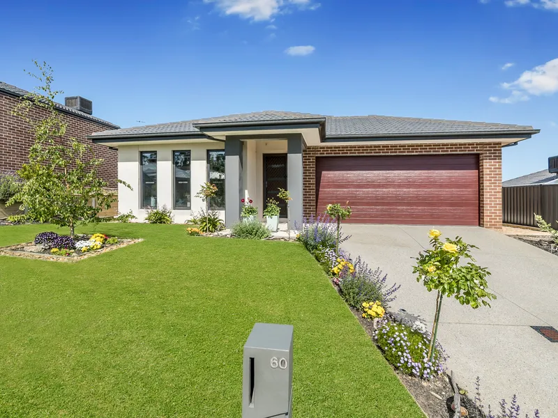 Contemporary Family Home