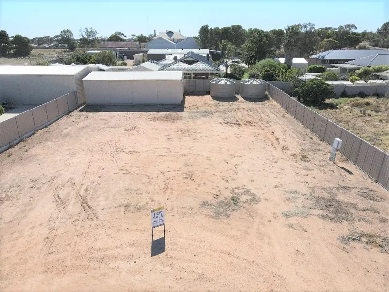 What an Insane Find !!!