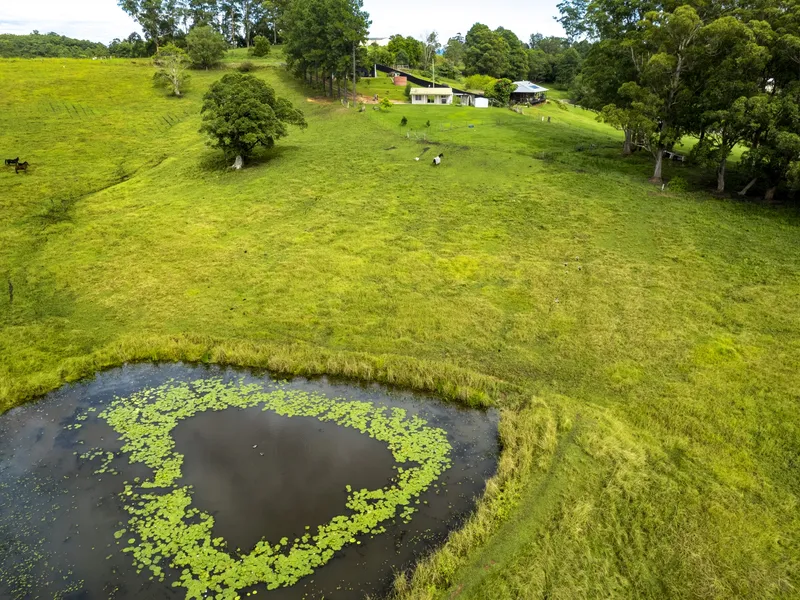 SUBDIVEABLE COASTAL ACRES