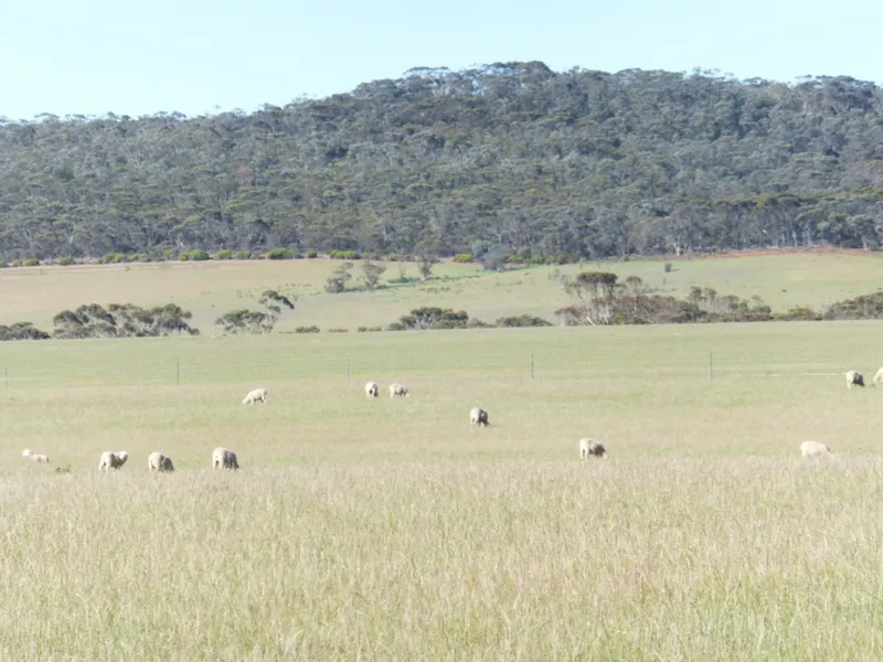 The Block With The Lot!