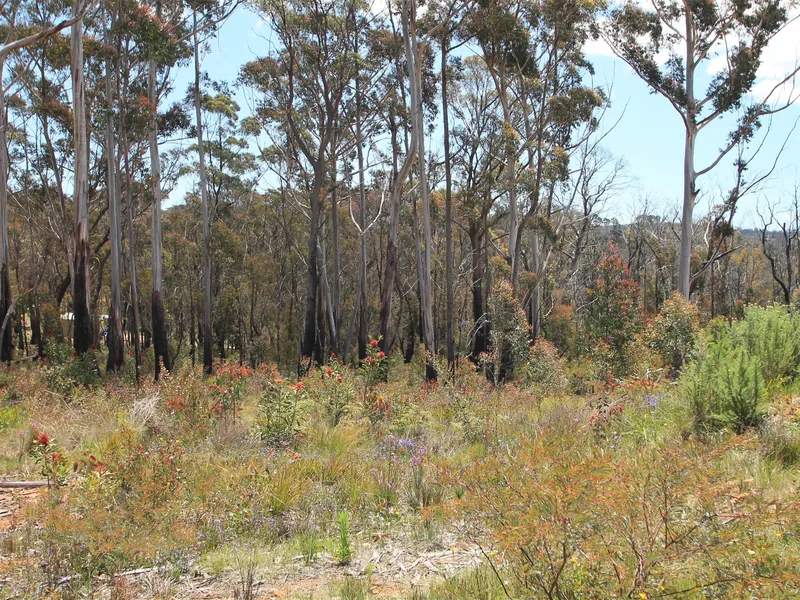 5 Acres Land -$599,000