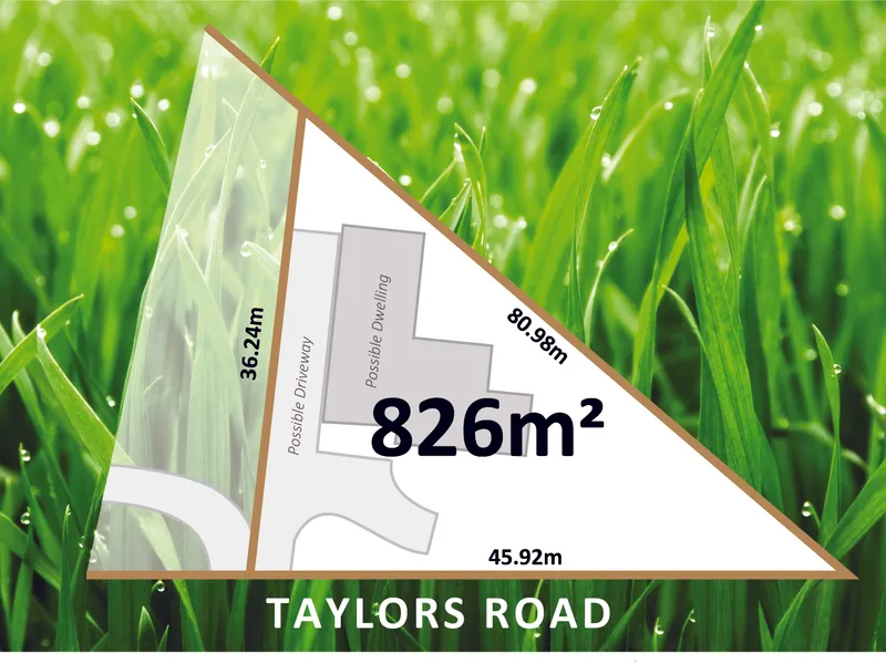 Build Your Dream Home