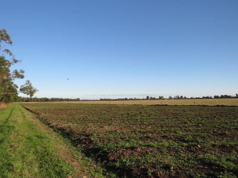 99 acres, House and Shed