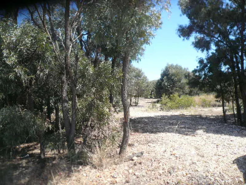 SMIDGEN OVER 5 ACRES ON BITUMEN ROAD