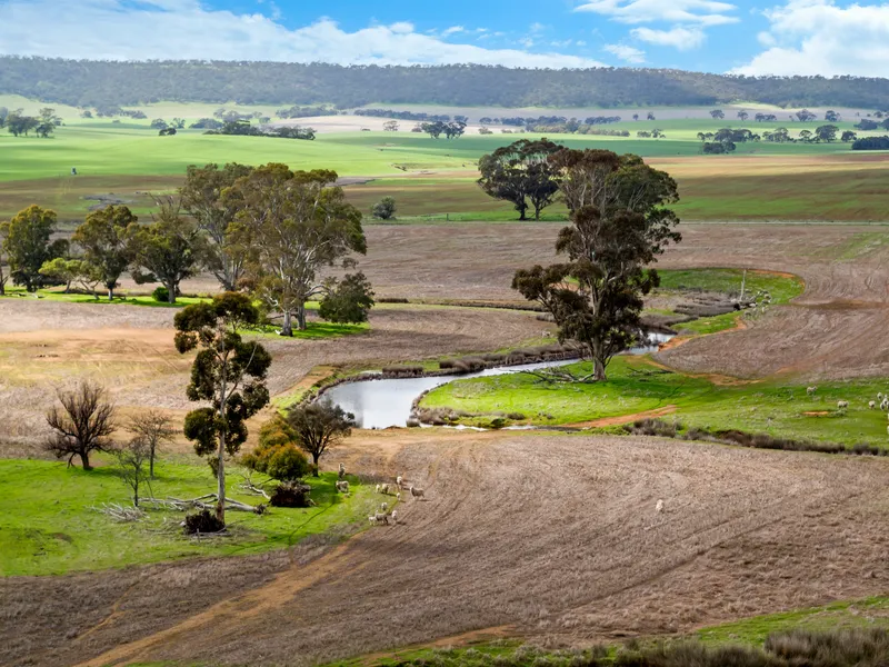 Highly Productive Farming Land