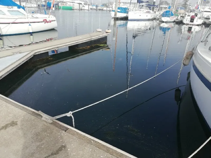 Shared 10m Berth in the Royal South Australian Yacht Squadron