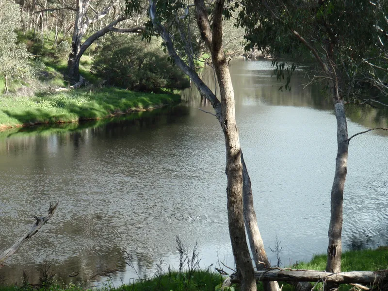 LAND WITH OPPORTUNITIES INVEST, HOLIDAY, RETIRE