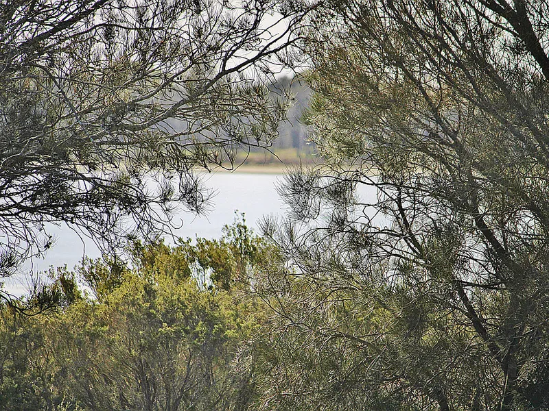 Natures Secret