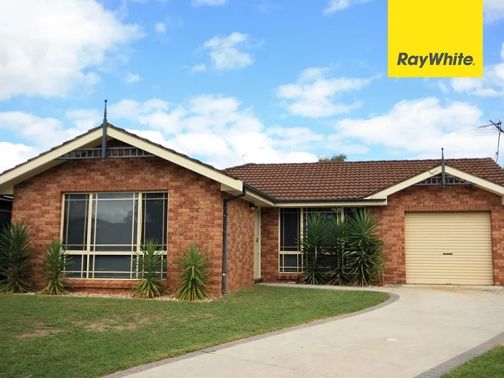 Entertain the whole family