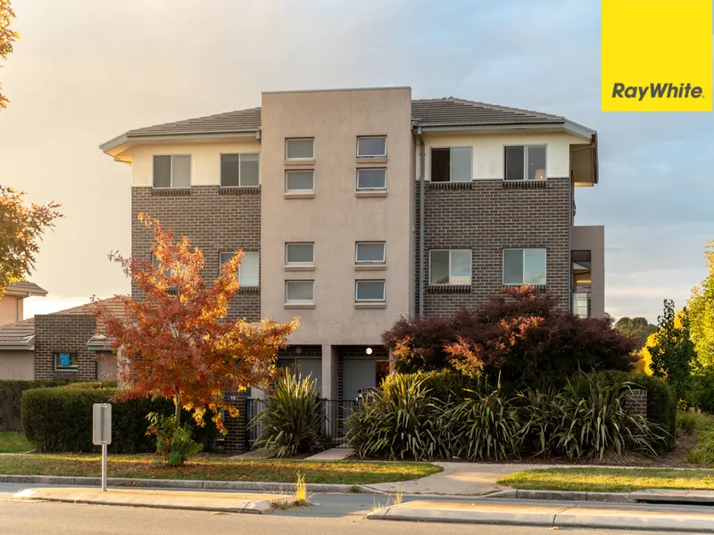 Modern Style, Sweet Surrounds