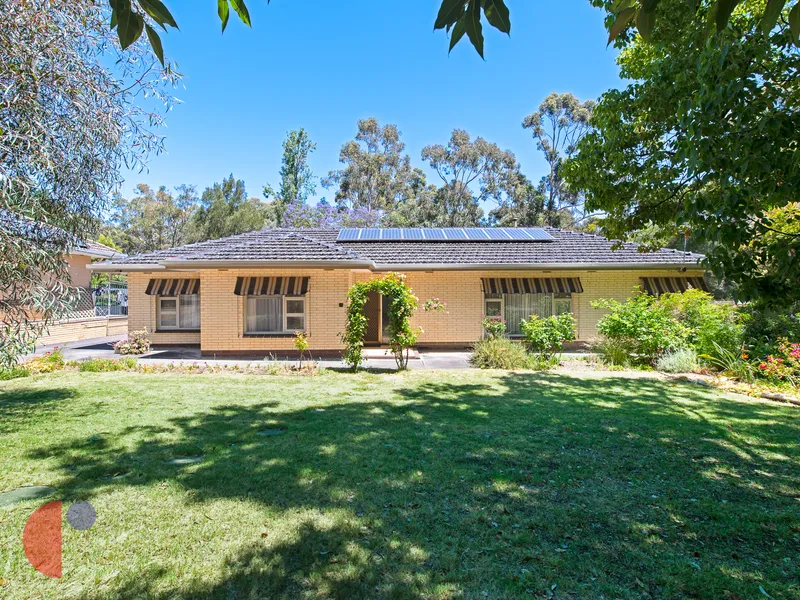 CLASSIC 1970'S SOLID BRICK HOME ON SOME 1130 SQM ALLOTMENT BACKING ONTO RESERVE