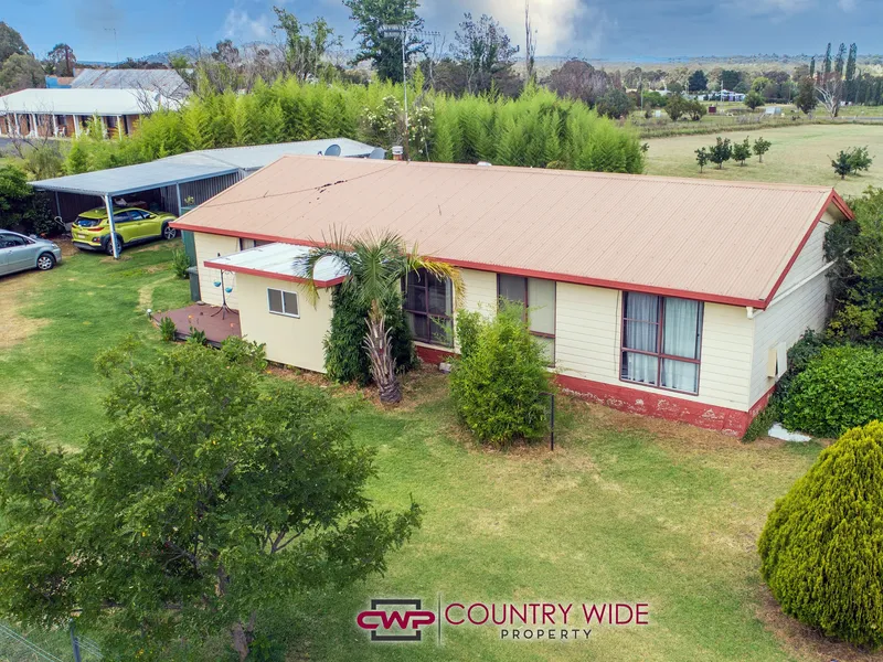 Small Acreage in Town