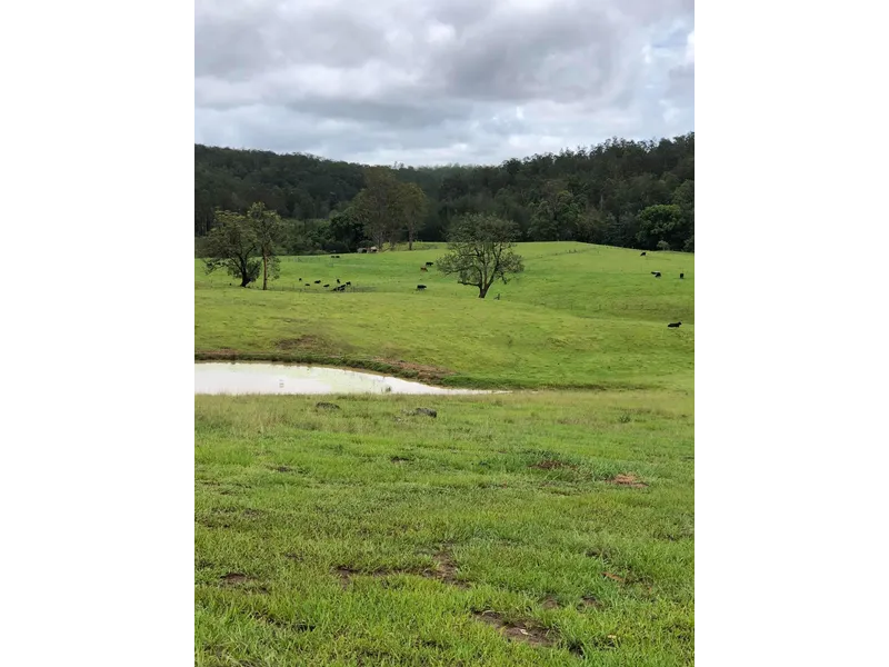 WALK-IN WALK-OUT FARMING PROPERTY, CATTLE & EQUIPMENT FOR SALE