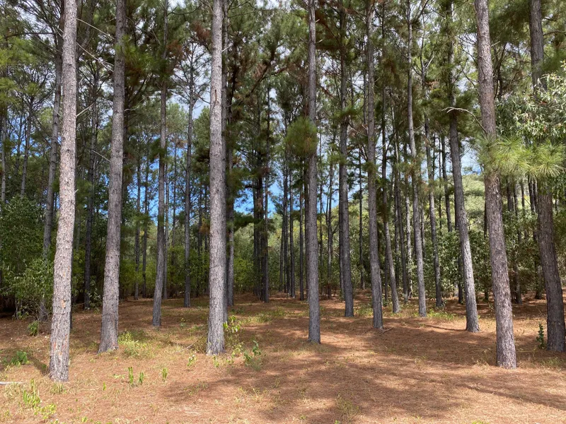 1282m2 elevated home site