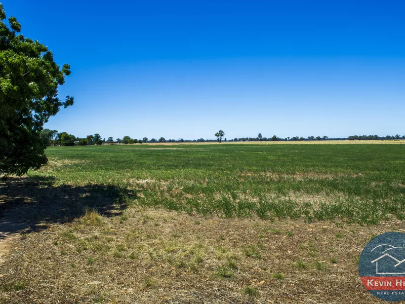 Well-Established Farmlet