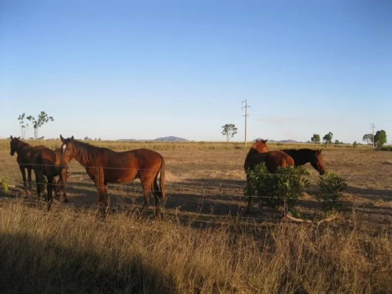 Vacant Rural 8 Acres Block