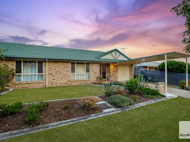 Cheaper End of the Market