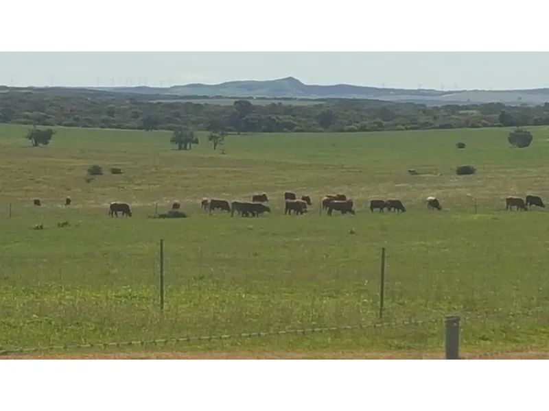 Your new life in Dongara!