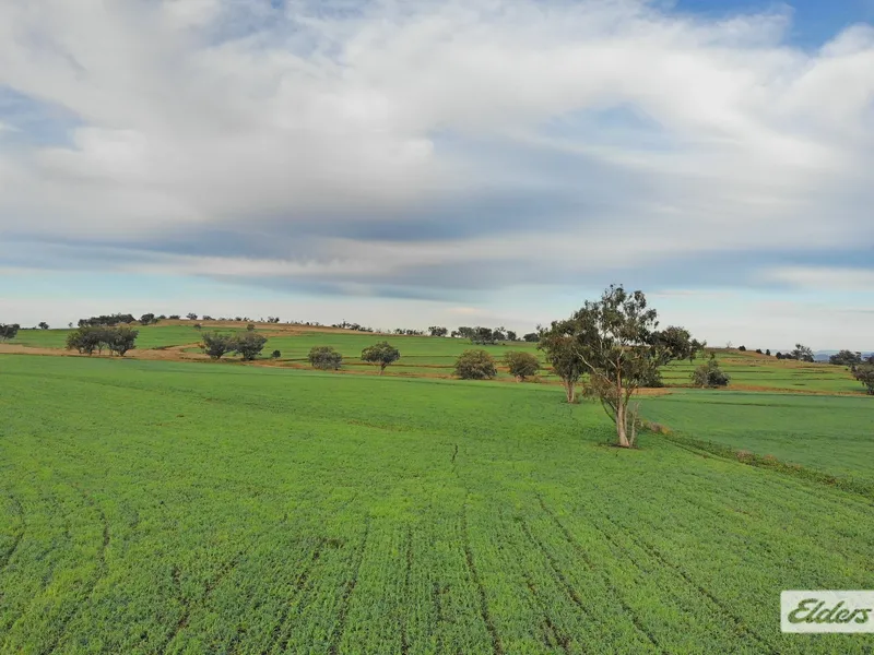 Farming, Grazing & Fodder production