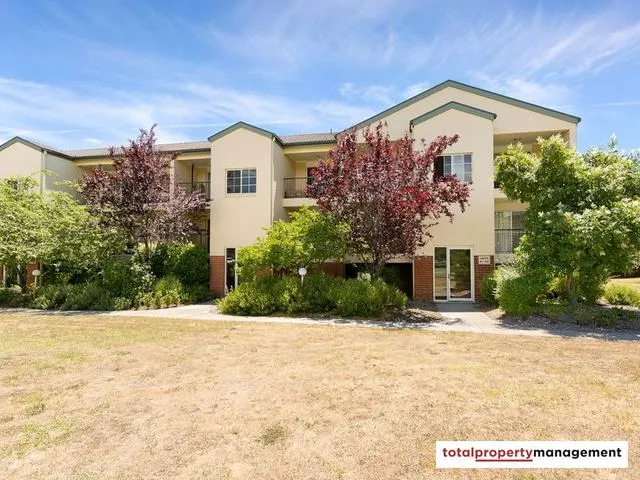 Spacious & Light One Bedroom Apartment