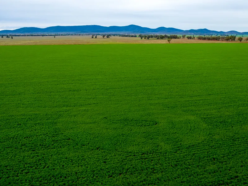 'Euronga' Aggregation, Lake Cargelligo, NSW 6,142 acres