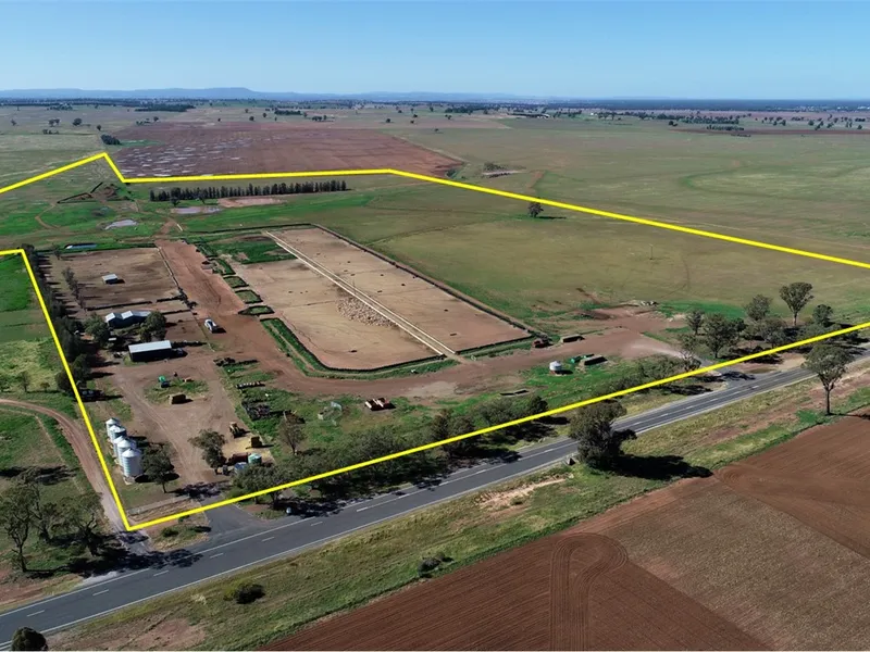 Investment opportunity Lamb Feedlot