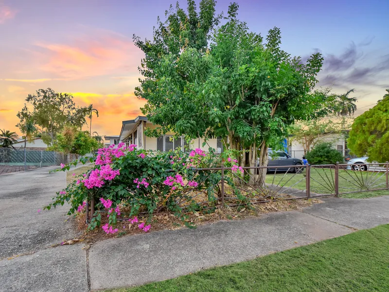 Golden Opportunity - The Balmian of Darwin
