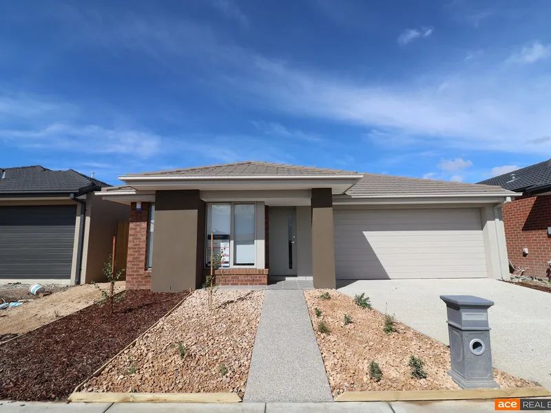 Brand NEW & ready to move in!