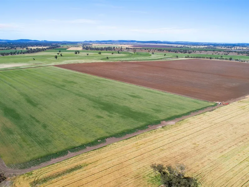Part Green Hills - Land & Water