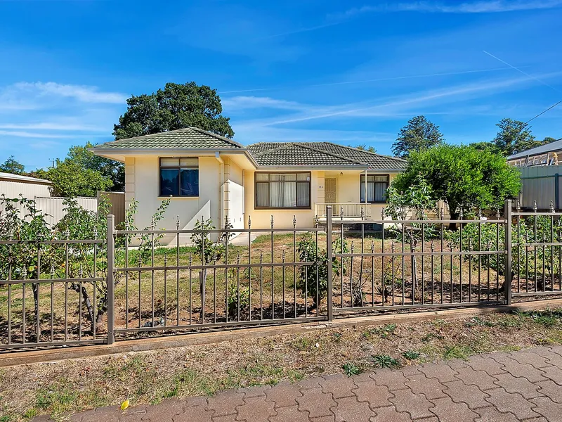 Neat & Low Maintenance!