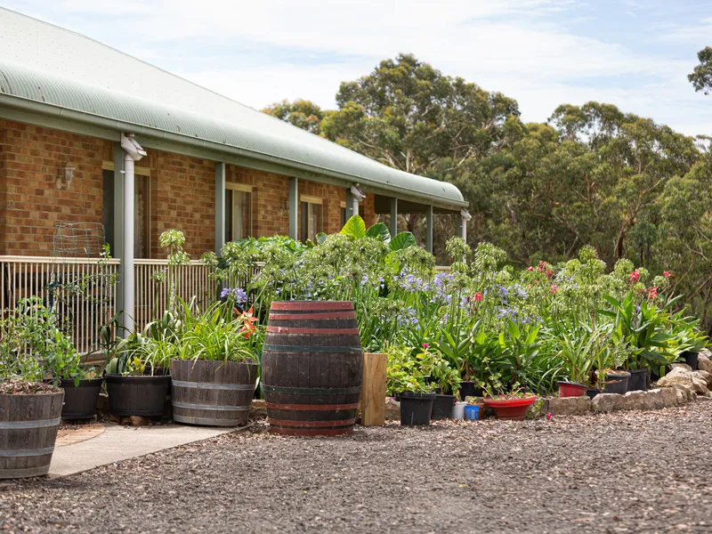 “Bush View Homestead”