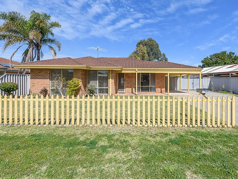 Cute and comfortable