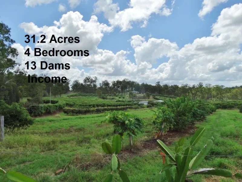 4 BRM HOME, SHEDS & INCOME PRODUCING ORCHARD