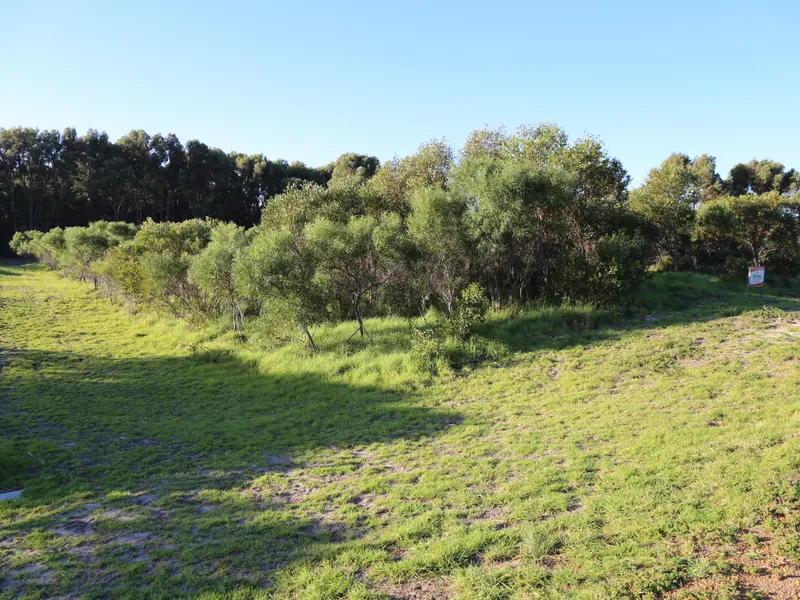 Country Seclusion