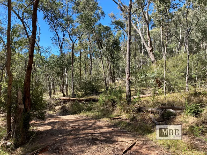 A TRULY UNIQUE BUSH PROPERTY - 100 ACRES (Approx)