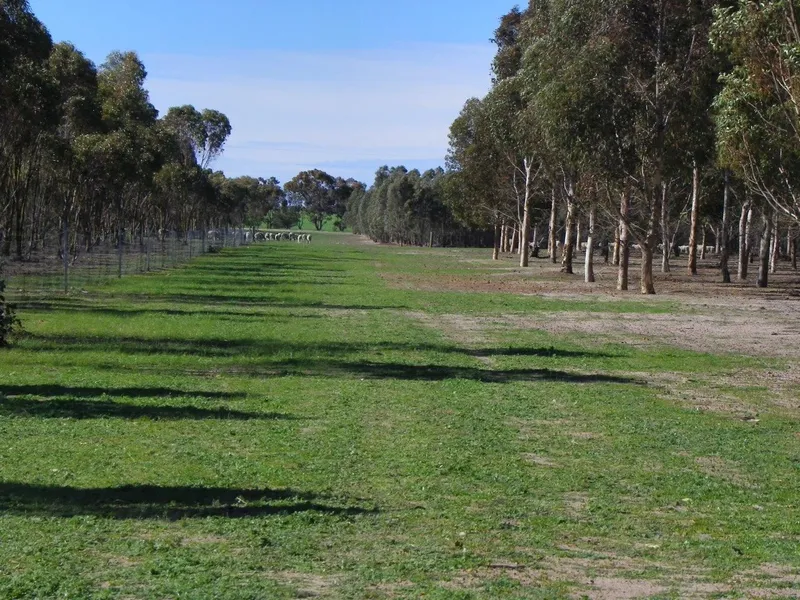 Very Affordable Investment at $550 per Acre