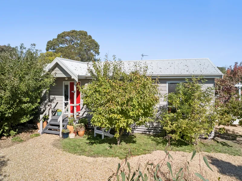 Charming Modern Cottage with Mature Gardens