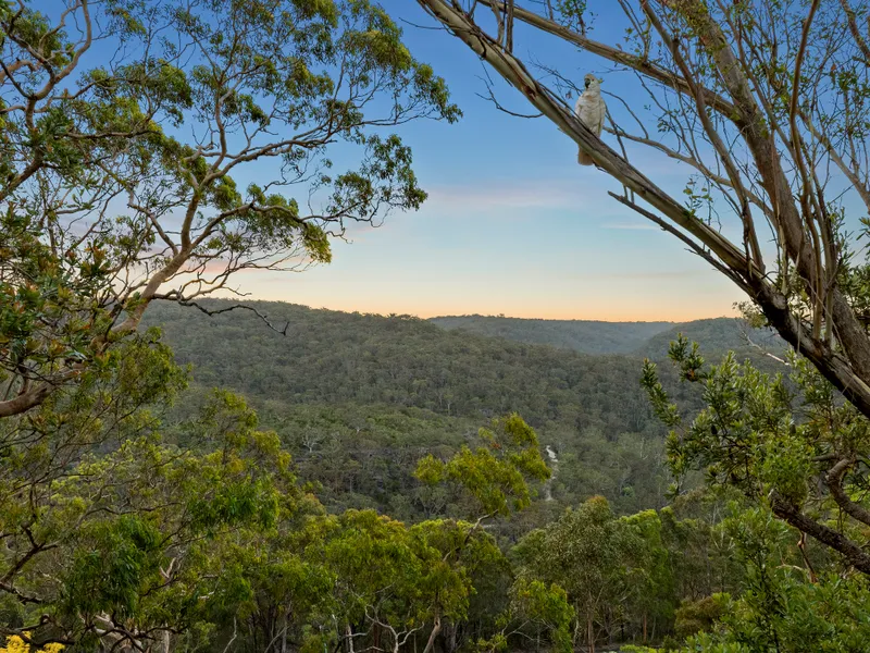 Family Oasis With Breathtaking Bush Views
