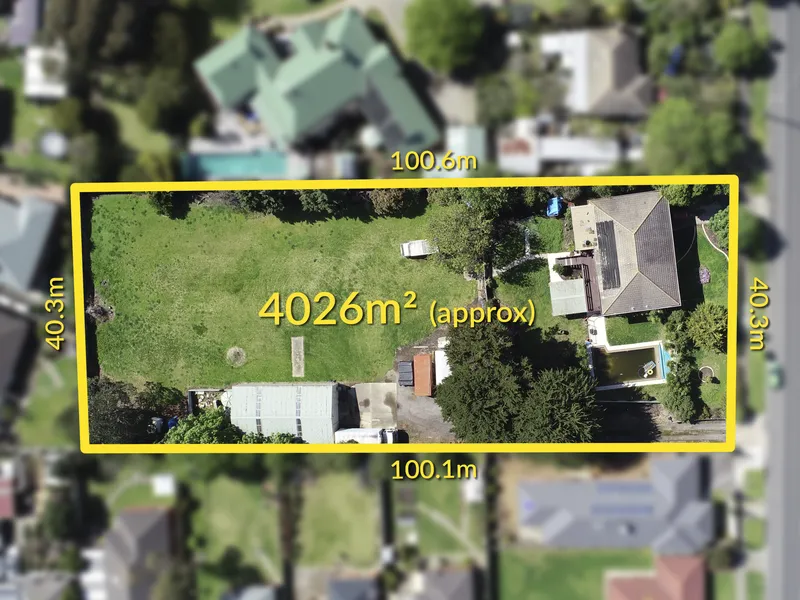 Massive Allotment, Massive Opportunity