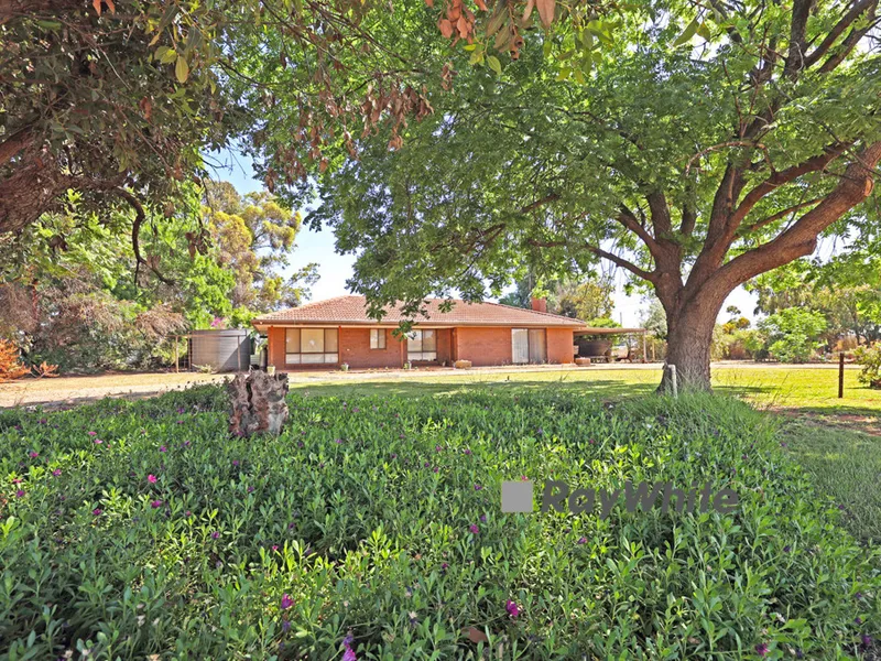3 bed, 2 bathroom home on 2/3 acre with shedding!