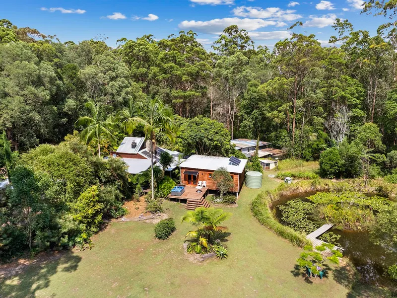 Hidden Sanctuary in Northern NSW Coastal Hinterland - Priced for Immediate Sale!