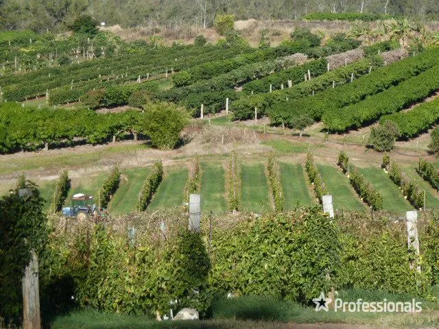 INCOME PRODUCING TROPICAL FRUIT FARM WITH FOUR BEDROOM HOME