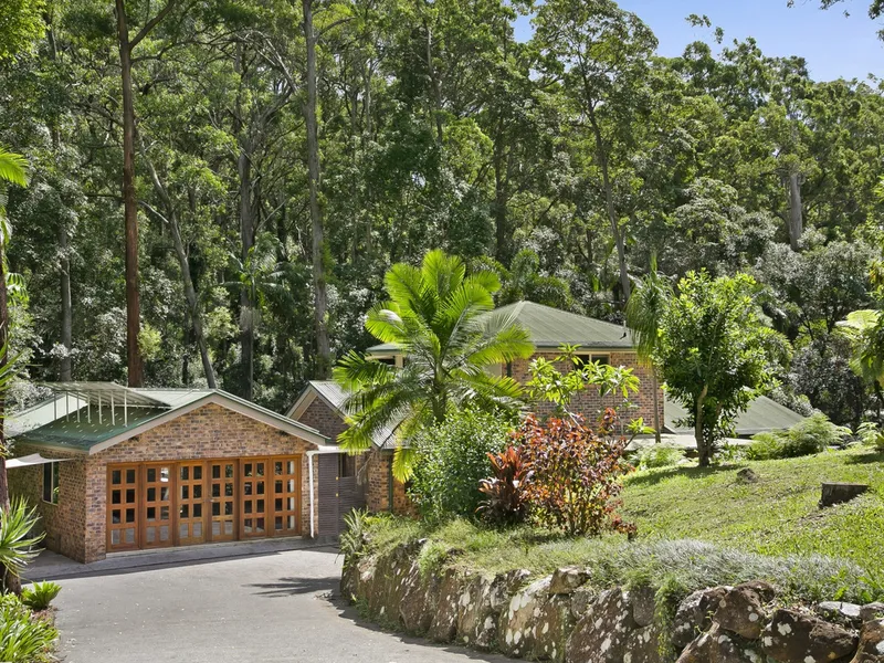 Peaceful Rainforest Paradise