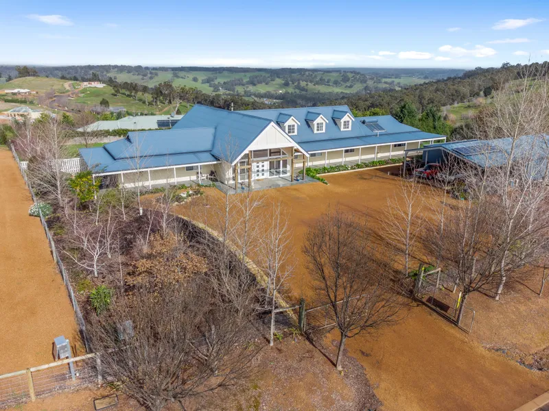 Highlights in every wing